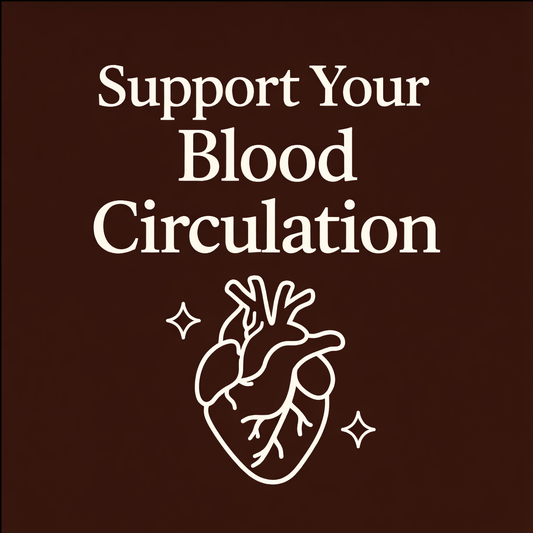 Blood Circulation Blueprint