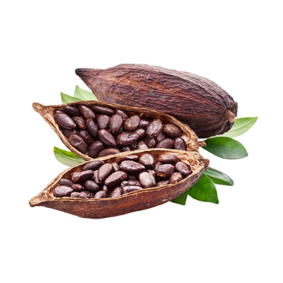 Natural Cocoa Extract